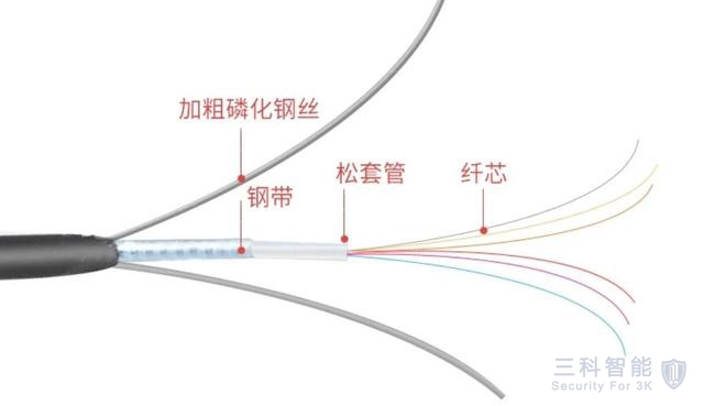 91香蕉视频黄色app下载光纤